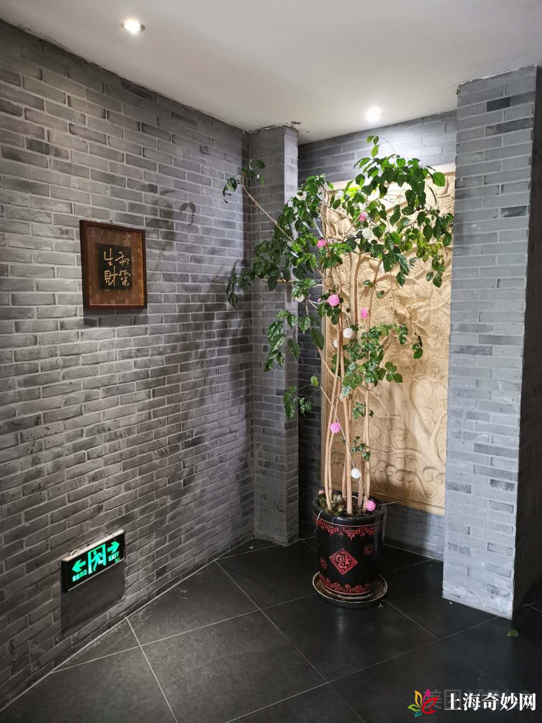 云鼎港派SPA