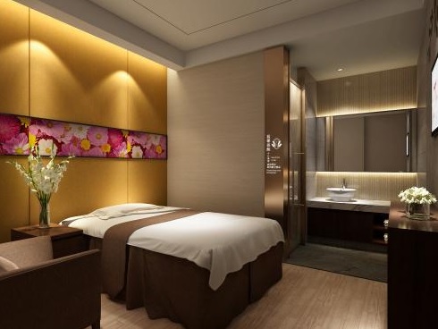 上海闵行区酒店的spa按摩会所|项目多满意度高